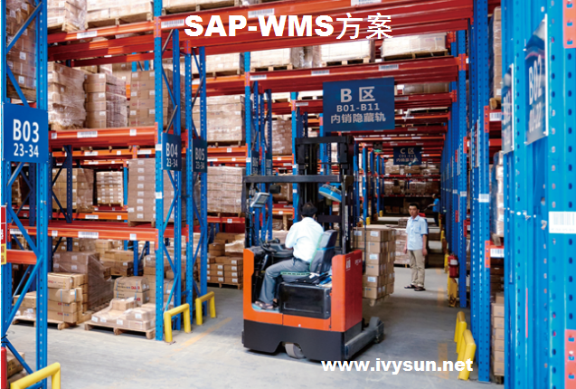 SAP-WMS倉庫管理系統集成開發